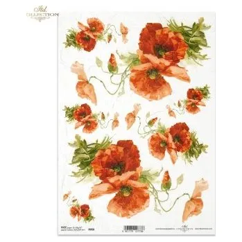 Umělecký papír Rýžový papír A4- R0958