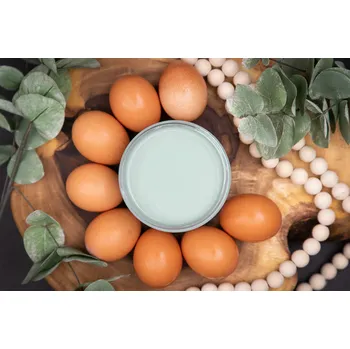 Vodová barva Dixie Belle křídová minerální barva - Vintage Duck Egg - 473 ml