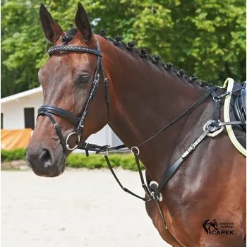 Poprsník Poprsník Busse -SOLIBEL-