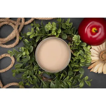 Speciální výtvarná barva Dixie Belle křídová minerální barva - Putty - 943 ml