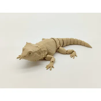 omalovánky Agama Pohyblivé 3D omalovánky D-decor