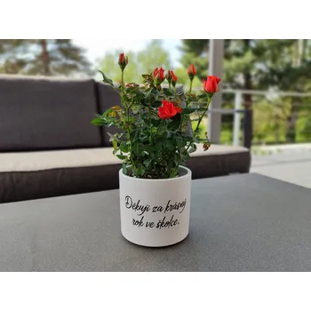 Květináč Květináč s nápisem pro paní učitelku vzor 3 - D-decor