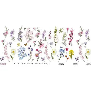 Umělecký papír Rýžový papír Cadence (UBC 013) v roli, 30x68 cm - Herbář