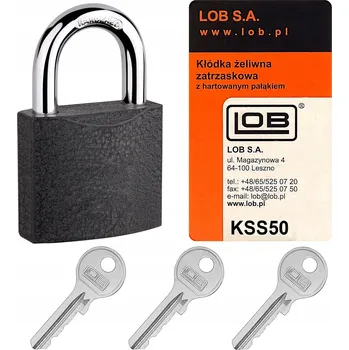 Visací zámek Visací zámek na klíč LOB