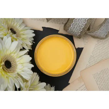 Speciální výtvarná barva Dixie Belle křídová minerální barva - Daisy - 237 ml