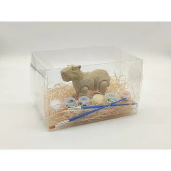 omalovánky D-decor Kreativní sada 3D omalovánek Kapybara