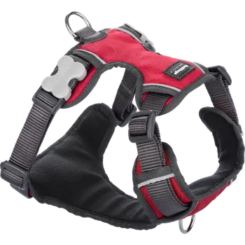 Postroj pro psa Postroj Red Dingo polstrovaný Červená Velikost: S obvod hrudníku 37-52 cm