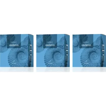 Přírodní produkt Skeletin 3set 405 kapslí