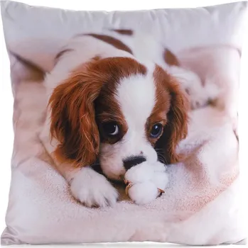 Povlak na dekorativní polštářek Povlak na polštářek Kavalír