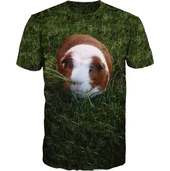 Pánské tričko Tričko Morče (code 0000) velikost: 122 - šířka 34 cm, délka 45 cm