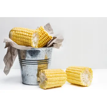 Krmivo pro ptáka Kukuřice do tlapky, křupavá svačinka pro papoušky