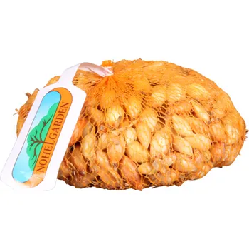 Cibulovina Nohel Garden Cibule sazečka Corrado F1 500 g