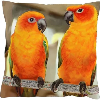 Povlak na dekorativní polštářek Povlak na polštář 40x40 na zip velur - Papoušci Aratinga