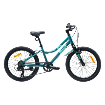 Dětské kolo Dětské Kolo RADVIK VIKING 20 M000253871 – Zelená