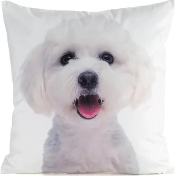 Povlak na dekorativní polštářek Povlak na polštářek Maltézáček