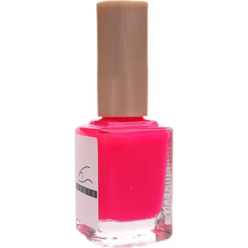 ANPRO Lak reflexní 12ml N3