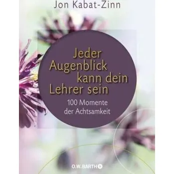 Jeder Augenblick kann dein Lehrer sein - Kabat-Zinn, Jon