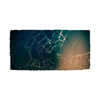 Sprchový závěs Ručník Pavučina: 30x50 cm