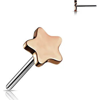Piercing Atreya Titanová koncovka - bezzávitová hvězdička Barva: Rosegold