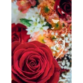 Set školních potřeb Karnet B6 Uniwersalny (pl, 2000, Plastový obal, eMKa Kartki)