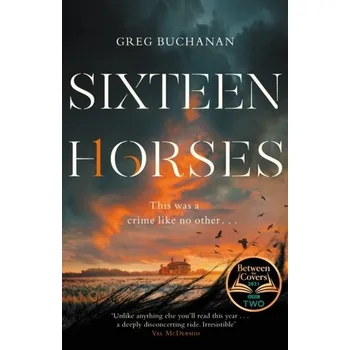 Cestování Sixteen Horses - Greg Buchanan, Jan Kraśko [EN] (2021, Firma, Pan Macmillan)