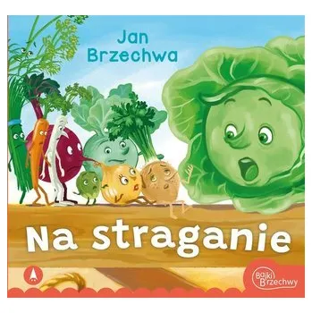 Pohádka Na straganie - Jan Brzechwa [PL] (2022, Kunststoffverpackung, Skrzat)