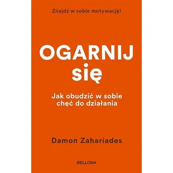 Ogarnij się - Damon Zahariades