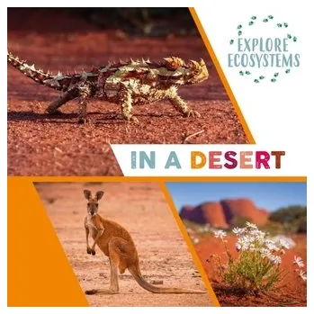 Cestování Explore Ecosystems: In a Desert - Ridley, Sarah [EN] (2023, Taschenbuch, Hachette Children's Group)