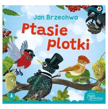 Pohádka Ptasie plotki - Jan Brzechwa [PL] (2022, Plastový obal, Skrzat)
