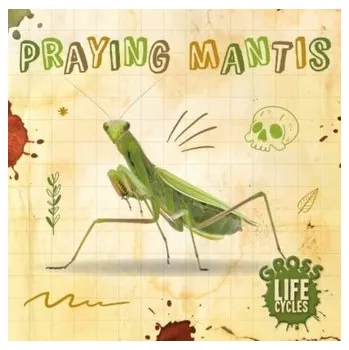 Electricity - Mather, Charis