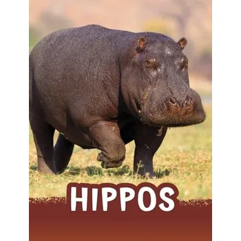 Příroda Hippos - Jaycox, Jaclyn [EN] (2023, Brožovaná, Capstone Global Library Ltd)