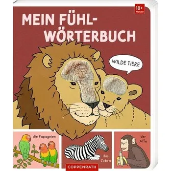 První čtění Mein Fühl-Wörterbuch - Brauer, Sybille