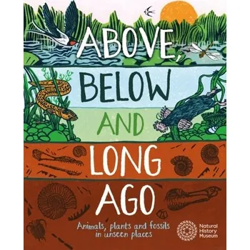 Příroda Above, Below and Long Ago - Michael Bright [EN] (2024, Taschenbuch, Hachette Children's Group)