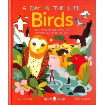 Příroda Birds (A Day in the Life) - Bond, Dr. Alex [EN] (2023, Firma, Priddy Books)