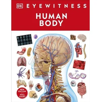 Human Body - DK