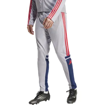 Kalhoty adidas SQUADRA25 TR PNT jp3372 Velikost L
