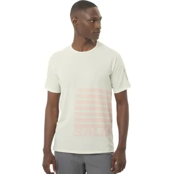 Salomon Sense Aero SS Tee GFX M LC2694600 - icicle/neon flame XL