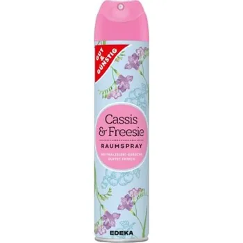 Osvěžovač vzduchu GUT & GÜNSTIG pokojový sprej Cassis & freesia 300 ml Německo