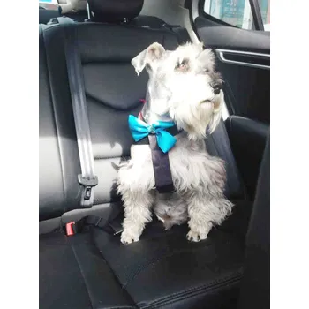 Postroj pro psa Bezpečnostní postroj do auta pro psa M, max. 17 kg
