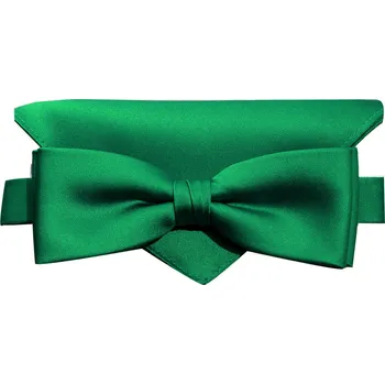 Motýlek Motýlek Brinkleys Modern s kapesníčkem - zelený