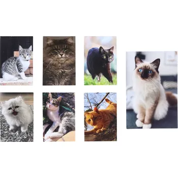 Blok Notes lepený Kočka MINI 40l 6x8,5 cm