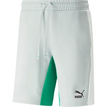 Pánské kraťasy Šortky Puma CLASSICS Block shorts 538168-080 Velikost M