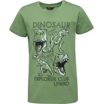Chlapecké oblečení Chlapecké triko Lewro CAYDN 140/146 Zelená, Černá, Bílá