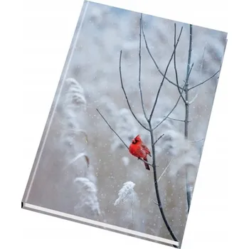 Sešit Sešit A5 Papírny Brno 150 listů, tvrdé desky