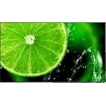 NEC 32" MultiSync E328-2 IPS direct LED/1920x1080/1100:1/9ms/400 cd/m2/VGA/3xHDMI/16/7 pr (60006113)