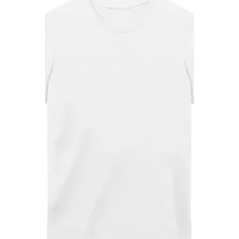 pracovní tričko TRUE BLANKS Tričko Essentials Mens Regular Tee, krátký rukáv, pánské COT73838300101-white S Bílá