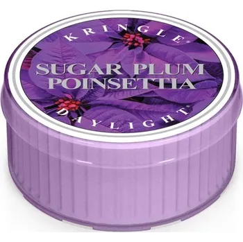 Svíčka Kringle Candle Vonná Svíčka Sugar Plum Poinsettia, 42 g