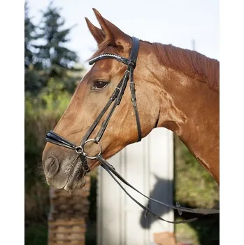 Jezdectví Uzdečka HKM Carolin kožená Černá/bílá PONY