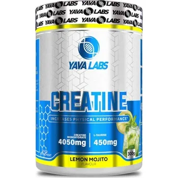 Fitness strava YAVALABS Creatine 300g ochucený