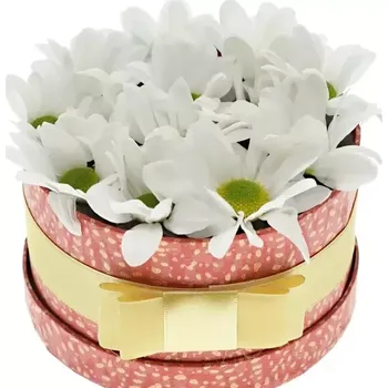 Dárková krabička Krabička květin VESNA červená 13,5x8cm